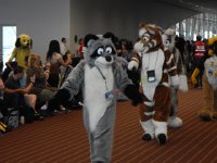 Fursuit Parade